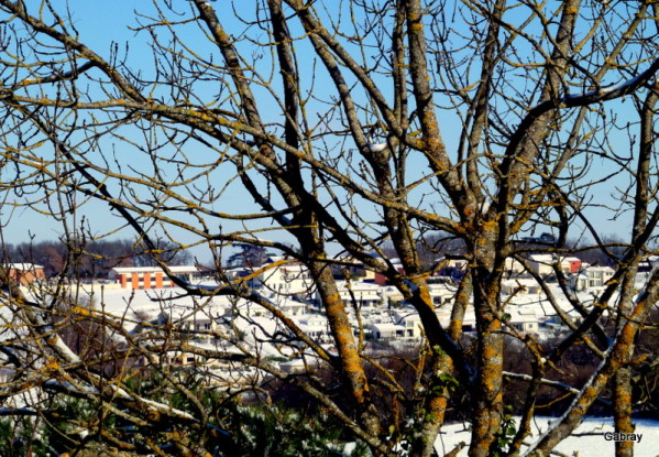 T14---Vue-sur-Pechbusque.JPG